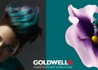 TRENDY 2012 GOLDWELL 4
